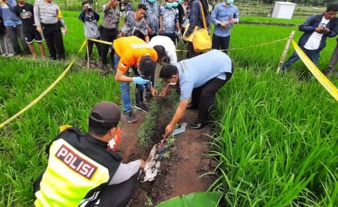 Dibungkus Kafan, Bayi Usia 8 Bulan Kandungan Dibuang di Sawah Ponorogo