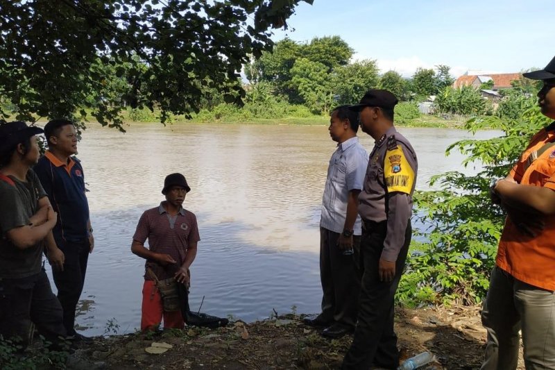 BPBD Kediri Cari Buaya yang Dua Kali Muncul di Sungai Brantas