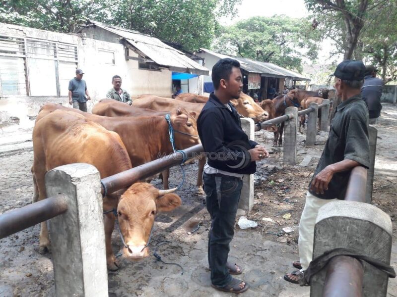 Per April 2020, Tak Akan Ada Lagi Pasar Hewan Di Kota Madiun