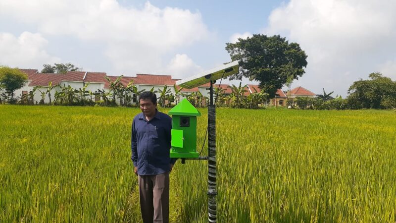 Pemkab Madiun Ragukan Efektivitas Alat Pengusir Tikus Buatan Petani