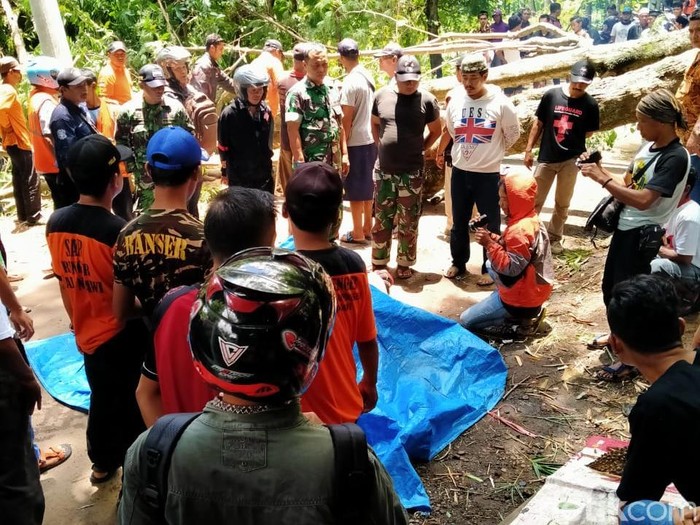 Nahas, Pria Madiun Tewas Tertimpa Pohon Lamtoro di Ngawi