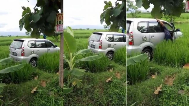 Hiii.....Avanza Masuk ke Tengah Sawah Tanpa Bekas Lumpur di Madiun