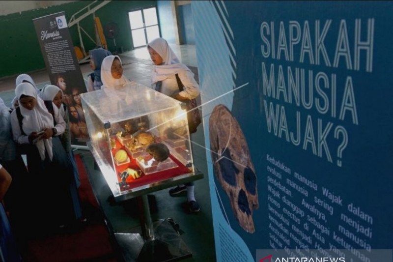 Ada Pameran Fosil Purbakala di Tulungagung, Ini Lokasinya