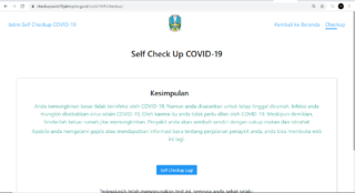 Contoh hasil chek up Covid-19 dengan metode self assesment. (checkupcovid19.jatimprov.go.id)