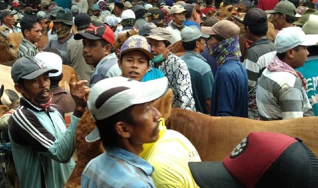 Pasar Hewan di Kota Probolinggo Ditutup, Ini Penyebabnya