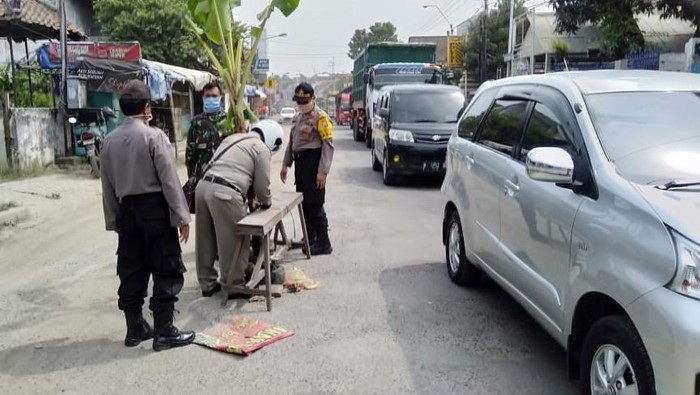 Waduh, Ada Pohon Pisang Ditanam di Tengah Jalan Lamongan