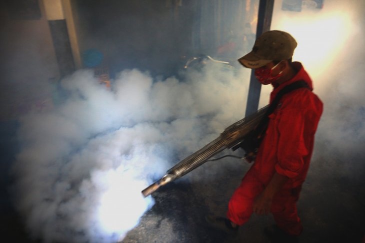 Bukan Corona, Tapi Puluhan Orang di Tulungagung Terserang Chikungunya
