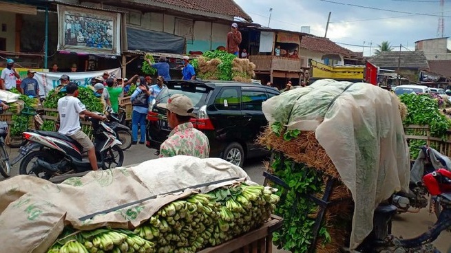 Setelah Viral, Pemkab Akhirnya Borong Sayur Pedagang di Malang