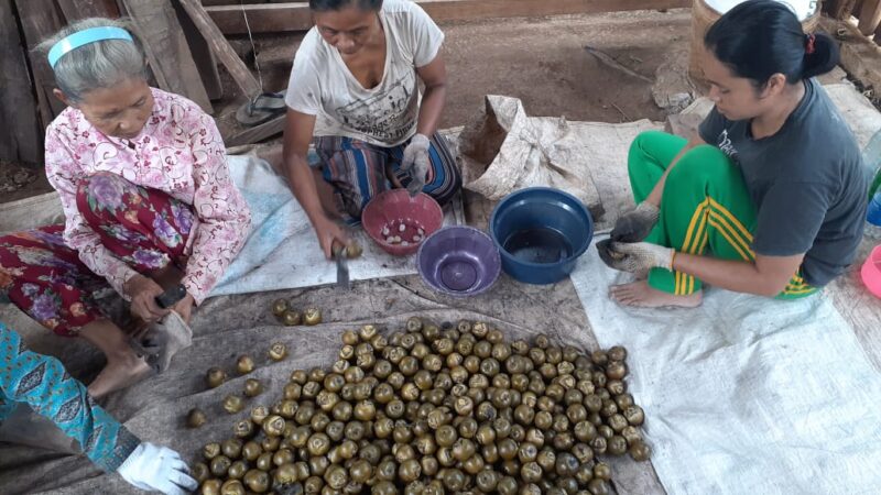 Perajin Kolang-Kaling di Gunung Wilis Madiun Raup Untung Saat Ramadan