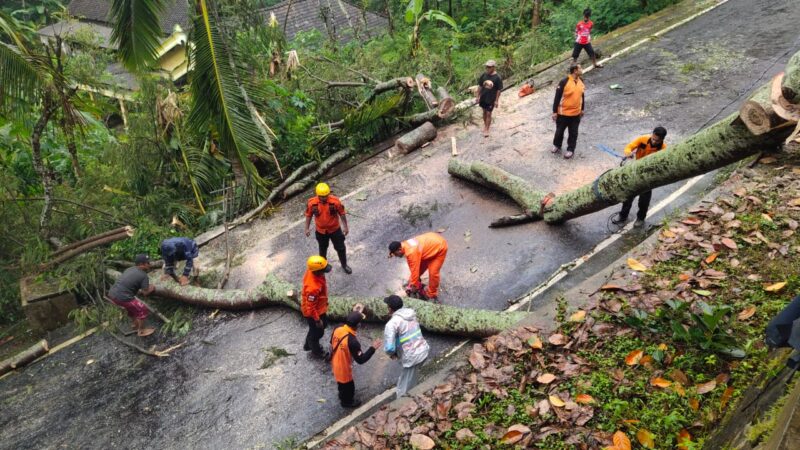 Hujan Deras Disertai Angin Kencang Guyur Ponorogo Selama Dua Hari