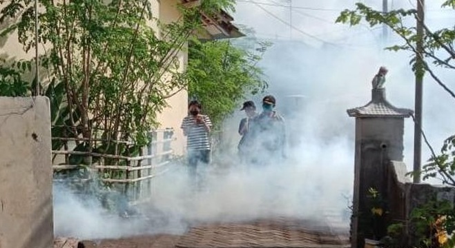 Puluhan Orang Terserang Cikungunya, Dinas Kesehatan Banyuwangi Lakukan Fogging