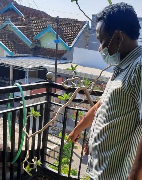 Perbaiki Antena Wifi, Seorang Kades di Mojokerto Tewas Tersetrum
