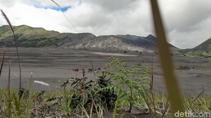 Para Pelaku Wisata Mendesak Kawasan Bromo Dibuka Kembali