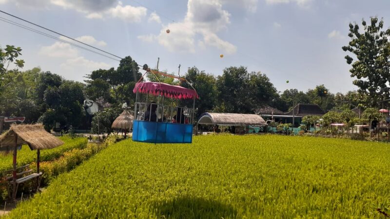 Bermodal Rp30 Juta, Dua Bersaudara di Madiun Ubah Sawah Jadi Taman Wisata