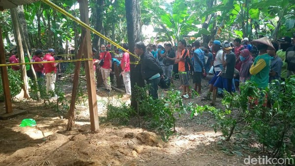 Polisi Ngawi Temukan Pembunuh Janda Yang Tewas Ditutup Jerami