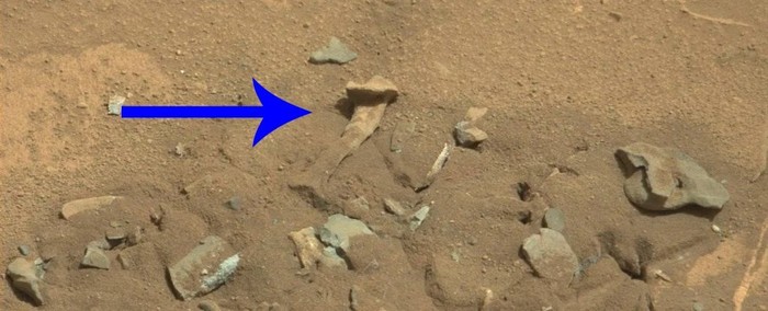 Benda Seperti Tulang Tertangkap Kamera NASA, Apa Benar Ada Kehidupan di Mars?