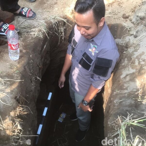 Berdasar Mimpi, Pria di Jember Temukan Susunan Batu Bata Diduga Bernilai Sejarah