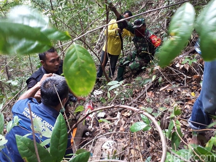 Ditemukan Kerangka Manusia di Hutan Ponorogo, Diduga Pertapa