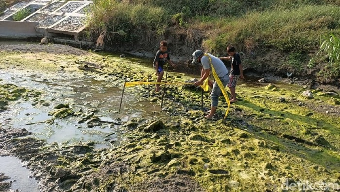 Ngeri! Cari Ikan, Anak-Anak di Lamongan Temukan Tengkorak Manusia