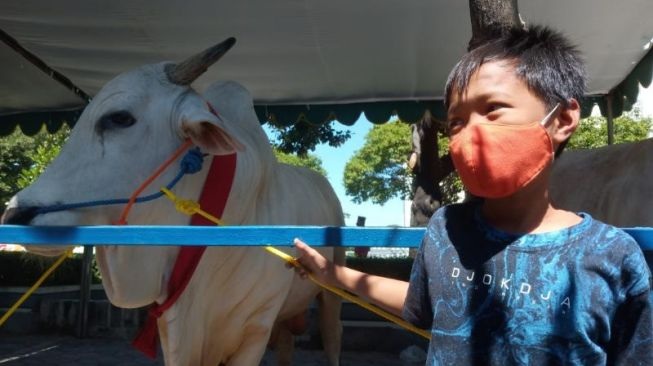 Sedih Sapi Kesayangannya Dibeli Gubernur Jatim, Bocah di Surabaya Menangis