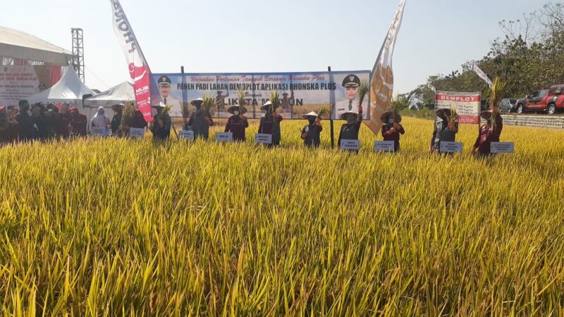 Kebutuhan Beras Masyarakat Kota Madiun Bergantung dari Daerah Lain