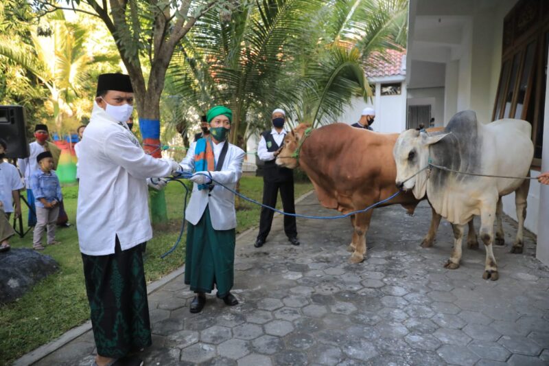 Pemkot Madiun Bagikan Daging Kurban dengan Dua Pola, Seperti Apa?