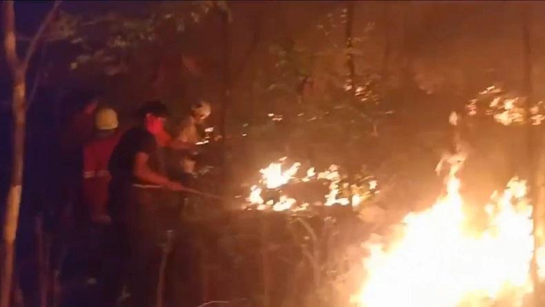 Sudah 300 Hektare Hutan di Jatim Terbakar, BPBD Minta Warga Waspada