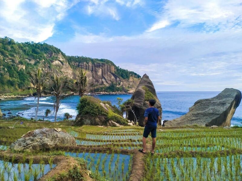 Pantai dengan Pemandangan Unik Ini Bisa Kalian Jumpai di Pacitan Jawa Timur