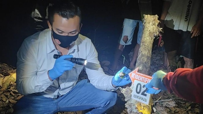 Cari Kayu, Petani di Ngawi Meninggal Tertimpa Dahan 10 Meter