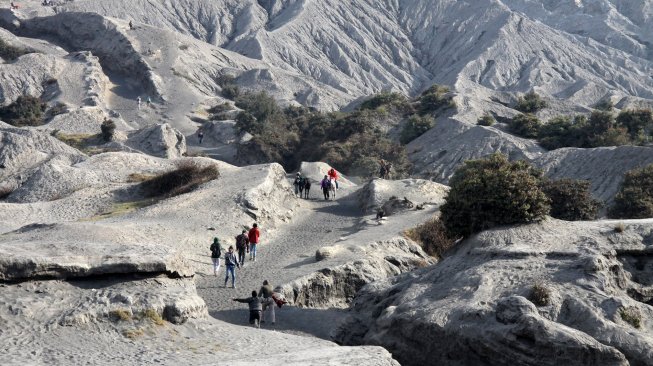 Ini Rekomendasi Empat Gurun Pasir di Tanah Air Yang Wajib Didatangi