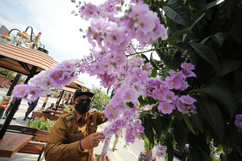 Kota Madiun Lagi Cantik-Cantiknya, Bunga Bermekaran di Semua Sudut Kota