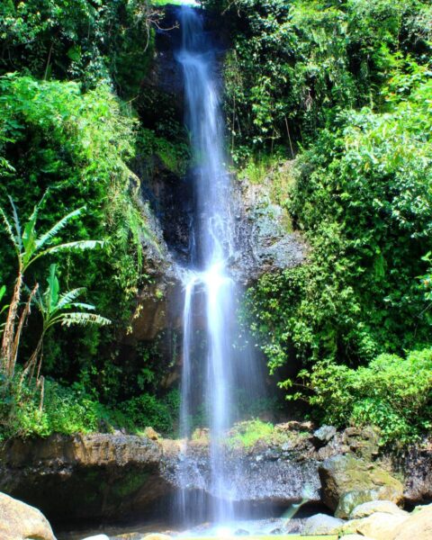 Menyegarkan, Rekomendasi Wisata Air Terjun di Madiun Ini Bisa Jadi Pilihan Saat Kamu Bosan