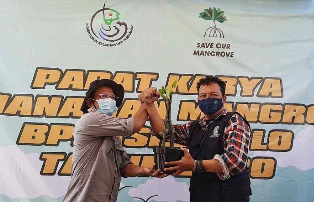 BPDASHL Solo Lakukan Padat Karya Penanaman Mangrove