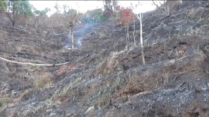 Diprotes Warga, Pembukaan Lahan di Perkebunan Kandangan Dihentikan