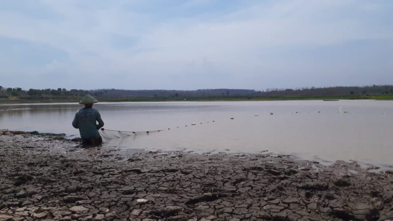 Waduk Dawuhan Kering, Warga Panen Ikan Berbulan-Bulan