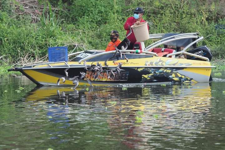 Mantap! 2 Kuintal Ikan Lele Disebar di Bengawan Madiun