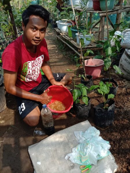 Inspiratif! Pemuda Madiun Ini Manfaatkan Sampah Popok untuk Media Tanam dan Pupuk