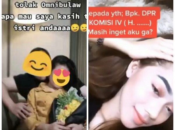 Video Viral Pelakor Tolak Omnibus Law: Bapak DPR Masih Ingat Saya?