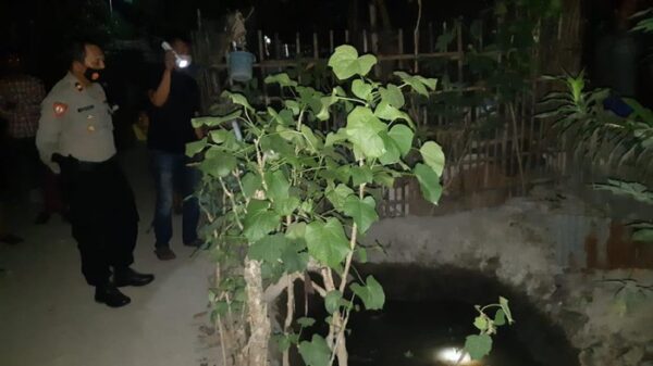 Anak Balita di Mojokerto Ditemukan Tak Bernyawa di Kolam Lele