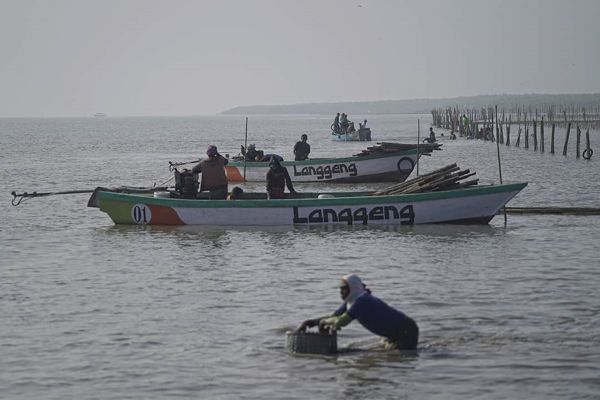 BPDASHL Solo Tanam 330.000 Mangrove di Gresik Untuk Dukung Pemulihan Ekonomi