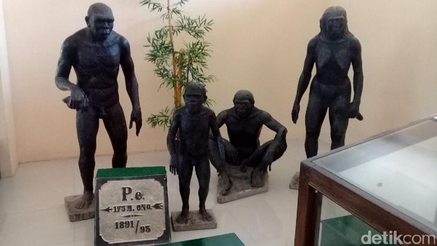 Museum Trinil Ngawi, Tempat Menyimpan Beragam Fosil Purba Termasuk Pithecantropus Erectus