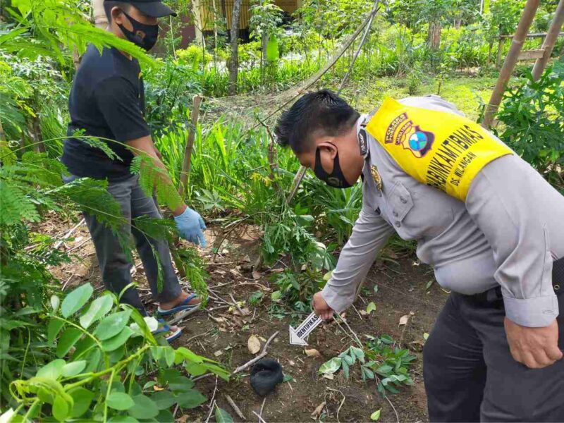 Nahas, Petani Lansia di Ponorogo Meninggal Setelah Jatuh dari Pohon Nangka