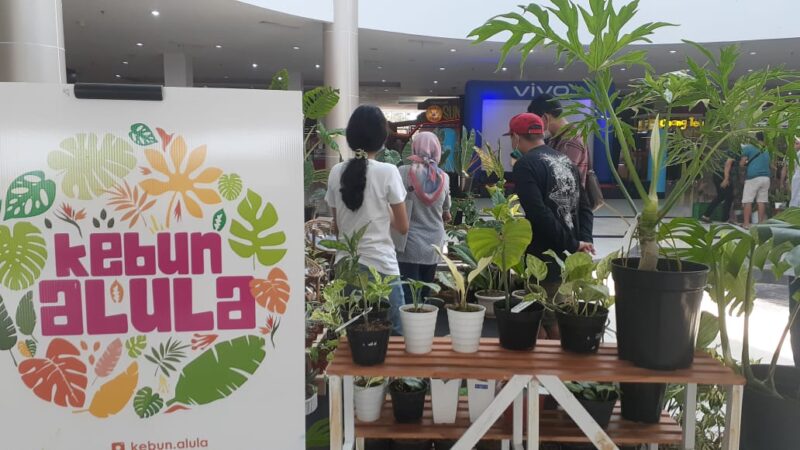 Suncity Madiun Gelar Expo Tanaman Hias, Harganya Mulai Rp25.000 Sampai Rp4 Juta