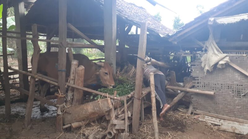 Upaya Desa Bringinan Ponorogo Memberdayakan Pekerja Migran (Bagian 5/Habis)