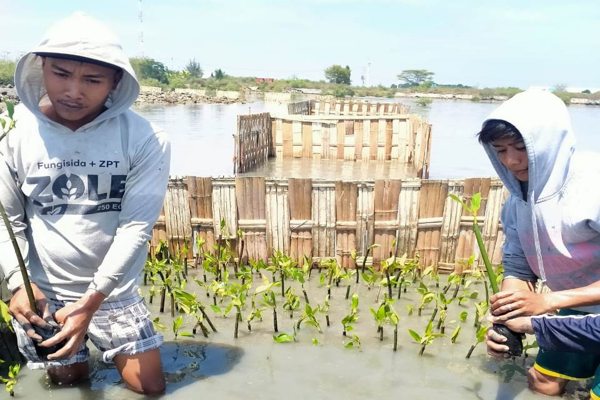 Warga Desa Antusias Dukung Program Penanaman Mangrove BPDASHL Solo