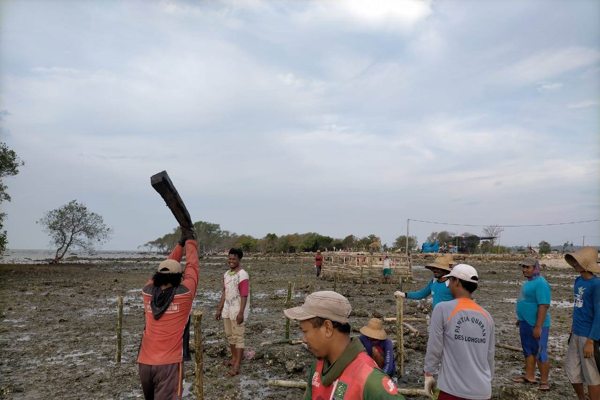 Program Padat Karya, Begini Cara Warga Dukung Penanaman Mangrove BPDASHL Solo