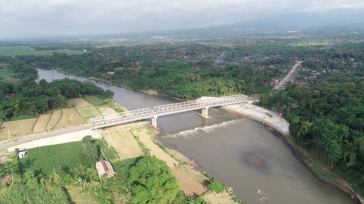 Misteri Buaya Putih di Sungai Brantas yang Sudah Ada sejak Zaman Belanda