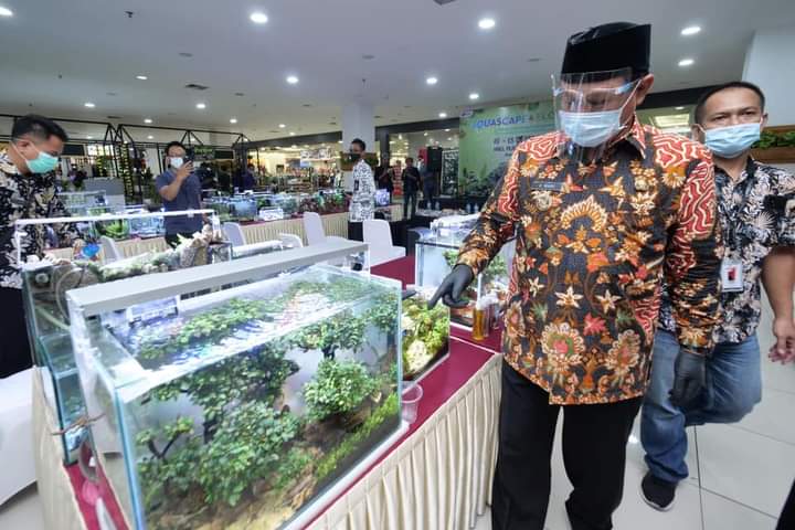 Segar dan Cantik! Pameran Tanaman Hias dan Aquascape di Plaza Madiun