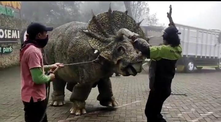 Viral! Video Dinosaurus Diturunkan dari Truk, Ternyata di Magetan