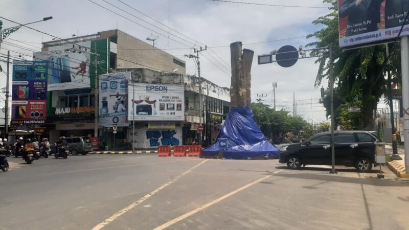 Pemkot Madiun Ganti Pule yang Mati dengan Pohon Baru